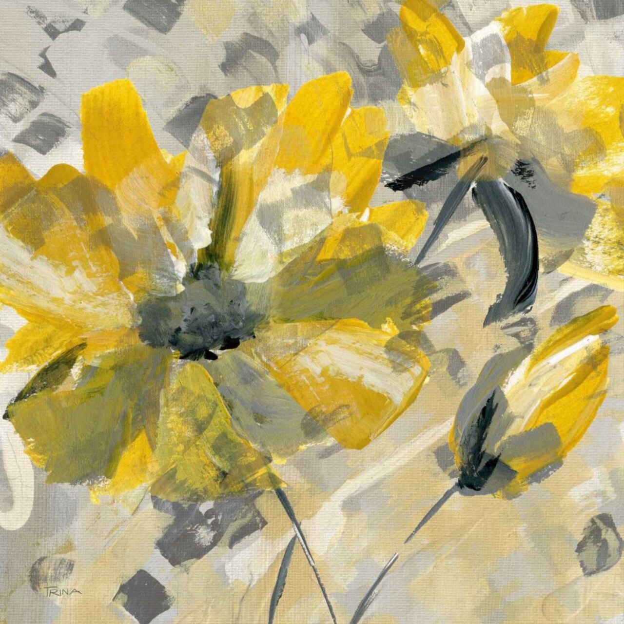 Buttercup I Poster Print by Katrina Craven - Item # VARPDX15271
